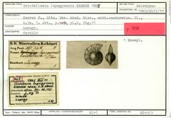 Karteikarte zum Holotyp von Cristellaria lapugyensis Karrer, 1865